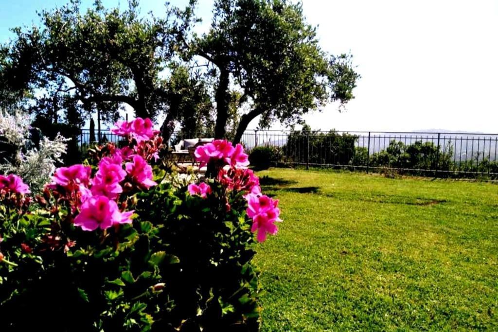 Casa Vista Mare - Superb Garden And Parking Included Vila Imperia Exterior foto