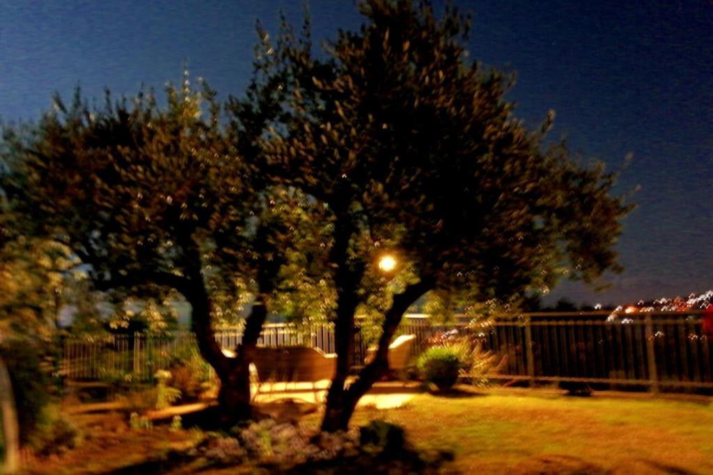 Casa Vista Mare - Superb Garden And Parking Included Vila Imperia Exterior foto