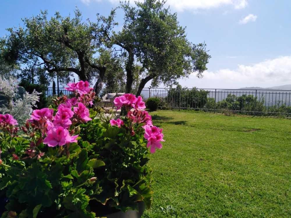 Casa Vista Mare - Superb Garden And Parking Included Vila Imperia Exterior foto